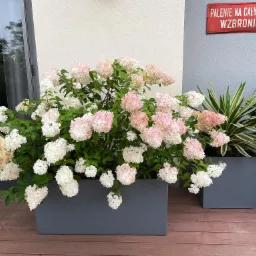 Taras w Oliwie, nasza realizacja oraz projekt