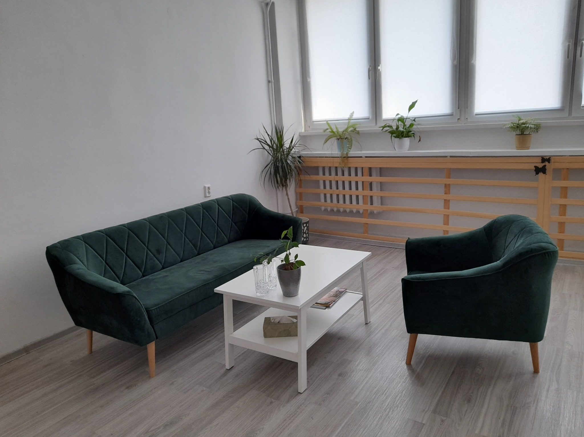 Wnętrze gabinetu z zieloną sofą i fotelem, białym stolikiem kawowym z rośliną w doniczce, oraz oknami z roletami i kwiatami na parapecie.