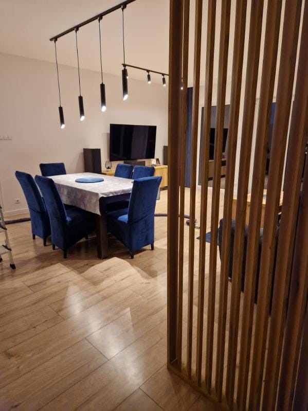 Nowoczesne wnętrze jadalni z drewnianą ścianką działową, oświetleniem punktowym na szynoprzewodzie i stołem z aksamitnymi krzesłami w odcieniach niebieskiego.