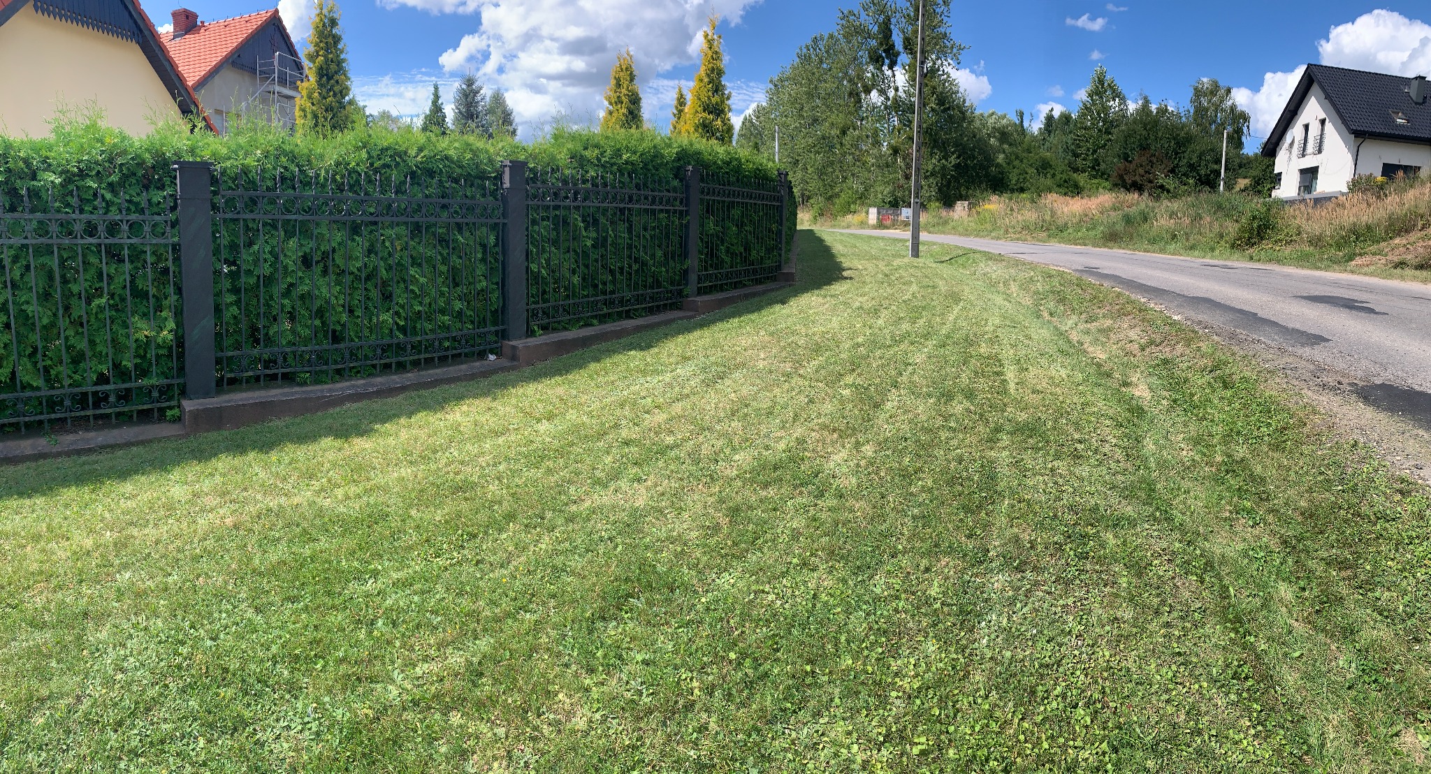 Świeżo skoszony trawnik przylegający do ulicy, z żywopłotem za kutym ogrodzeniem i widocznymi śladami koszenia.