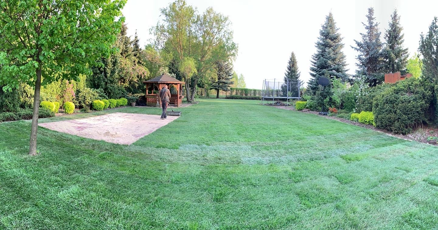 Rozległy trawnik z widocznymi śladami po wałowaniu, w tle altana, trampolina i różnorodne drzewa i krzewy.
