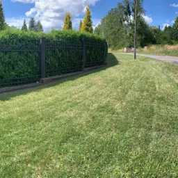 Świeżo skoszony trawnik przylegający do drogi i żywopłotu z metalowym ogrodzeniem, domy w tle.