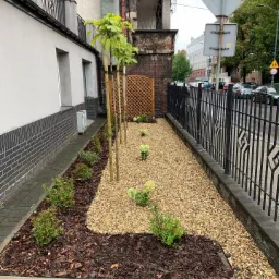 Aranżacja wąskiego ogrodu wzdłuż budynku z młodymi drzewkami przywiązanymi do palików, rabatami z kory i kamieni oraz niskimi krzewami i hortensjami, oddzielonego od ulicy czarnym, metalowym...