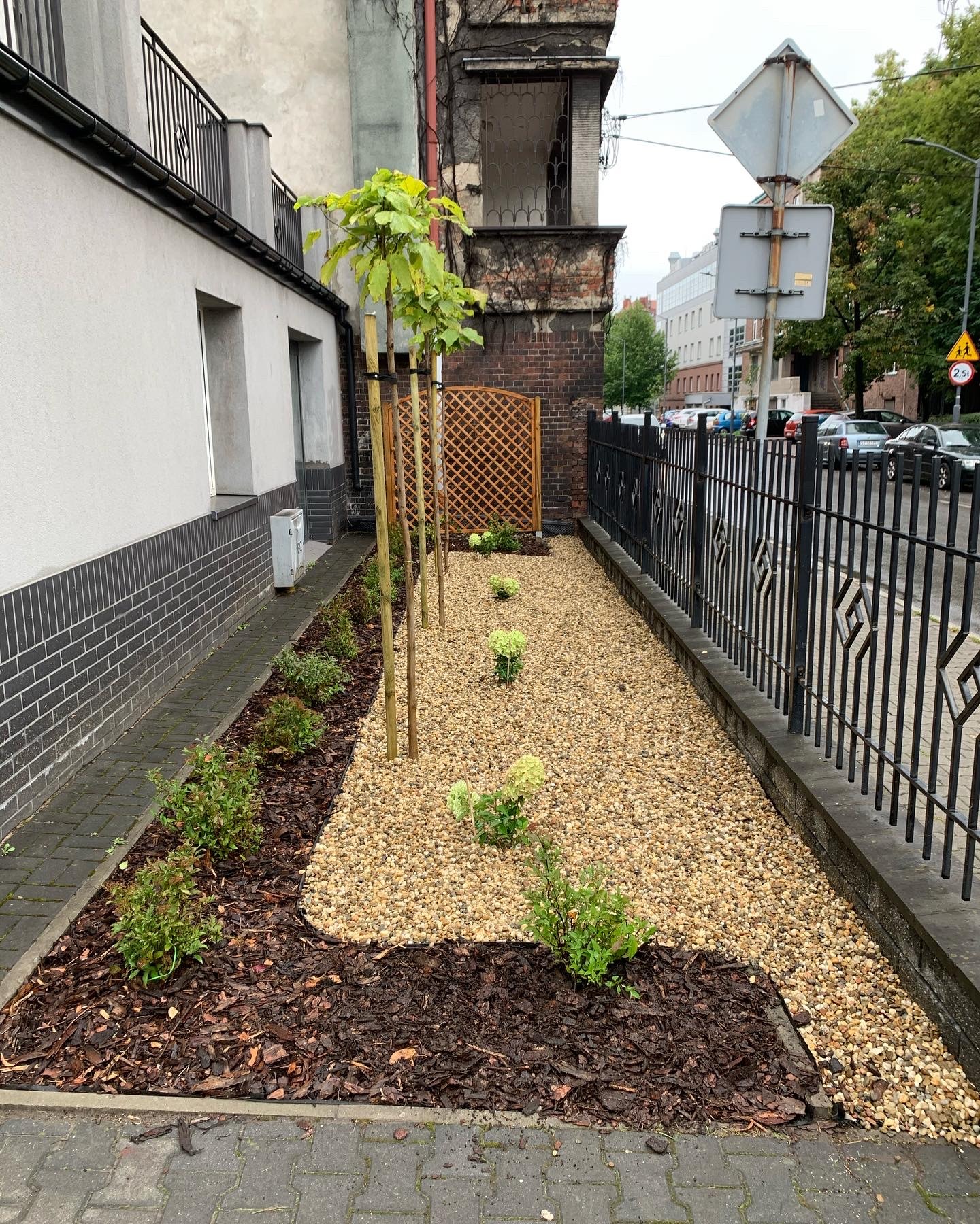 Aranżacja wąskiego ogrodu wzdłuż budynku z młodymi drzewkami przywiązanymi do palików, rabatami z kory i kamieni oraz niskimi krzewami i hortensjami, oddzielonego od ulicy czarnym, metalowym...
