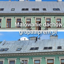 Alprem - Pracownik w uprzęży, z dyszą w dłoni, czyści metalowy dach kamienicy z licznymi oknami dachowymi, na tle błękitnego nieba.