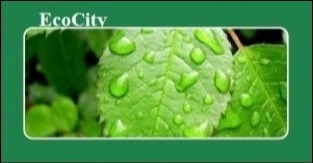 Krople wody na zielonym liściu, z widocznym logo EcoCity w lewym górnym rogu.