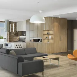 Salon z kuchnią: projekt i realizacja realizacja: Czechy