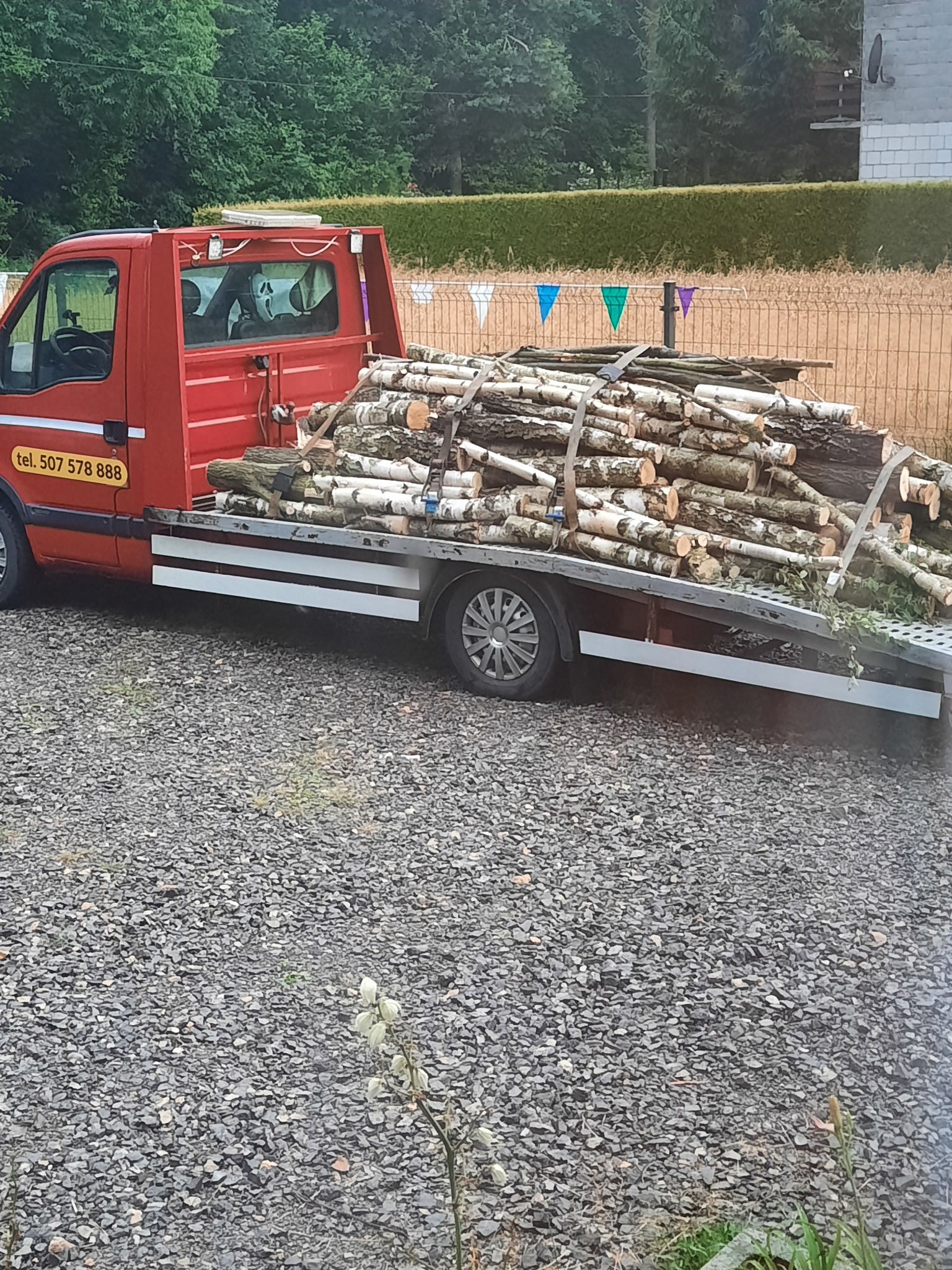 Czerwona laweta z numerem telefonu na drzwiach przewożąca stos pociętych pni drzew brzozowych, zabezpieczonych pasami, na tle żwirowego podłoża i ogrodzenia z powiewającymi chorągiewkami.