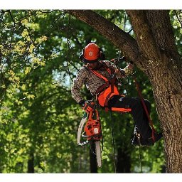 Przyjmę zlecenia na wycinkę drzew,cięcie drzewa w klocki,wycinka samosiejek, czyszczenie działek ,koszenie trawy, posiadam własny sprzęt ,ceny do uzgodnienia, Kontakt tylko telefoniczny.Nie odpisuje na jakiekolwiek wiadomości.