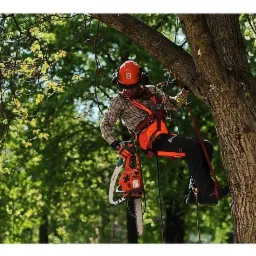 Arborysta w kasku i uprzęży, trzymający piłę łańcuchową Husqvarna, wspina się na drzewo podczas prac pielęgnacyjnych.