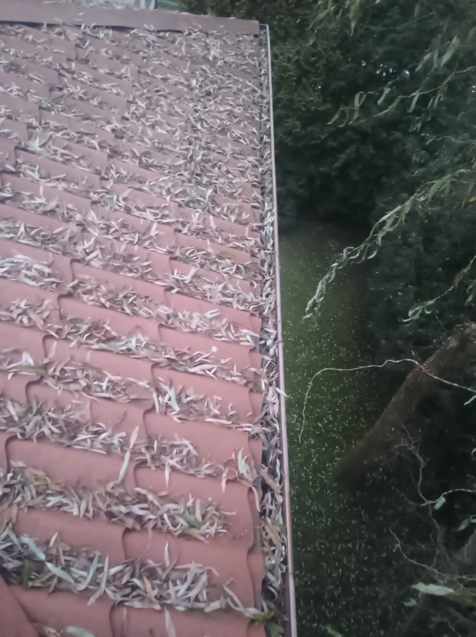 Rynna przed czyszczeniem