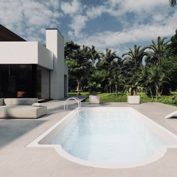 BIURO PROJEKTOWE Sylwia Sikora - Nowoczesny ogród z białym basenem, palmami i minimalistycznymi meblami wypoczynkowymi, z widokiem na luksusowy dom z elementami drewna.