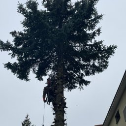 DREWSTALES - Ścinanie Drzew Puławy