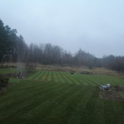 Trawa z rolki Gdańsk 4