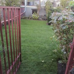 Paweł Iwanowski PafiNature - Widok na równy trawnik z rolki przez otwartą, czerwoną bramkę; w tle dom z schodami i roślinnością.