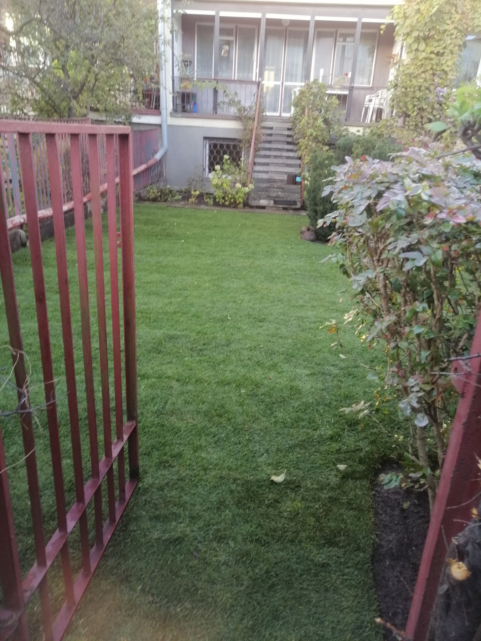 Widok na równy trawnik z rolki przez otwartą, czerwoną bramkę; w tle dom z schodami i roślinnością.