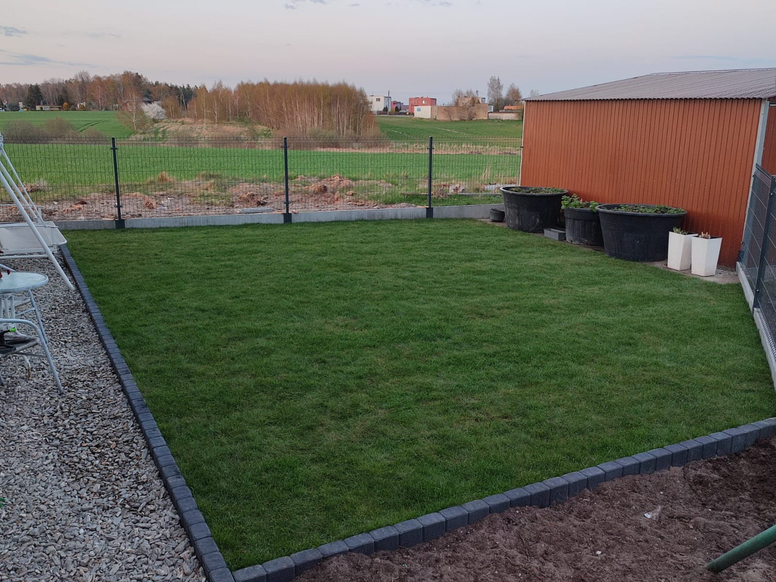 Świeżo założony trawnik z rolki, obrzeża z kostki, widoczne duże donice i ogrodzenie panelowe w tle.