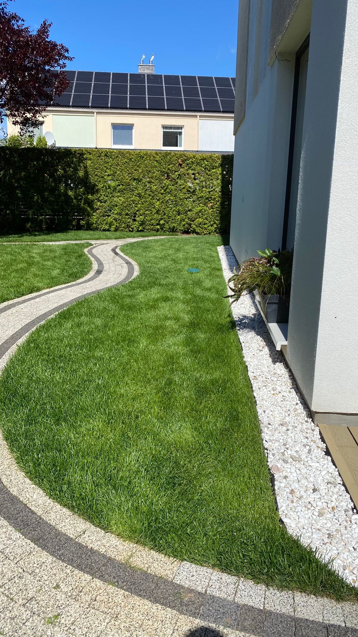 Świeżo przystrzyżony trawnik z krętą ścieżką z kostki brukowej, obrzeże z białych kamieni przy ścianie domu i żywopłot w tle.