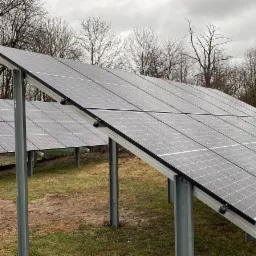 Dwa rzędy paneli fotowoltaicznych ustawione na metalowych konstrukcjach na trawiastym terenie, w tle drzewa bez liści i pochmurne niebo.