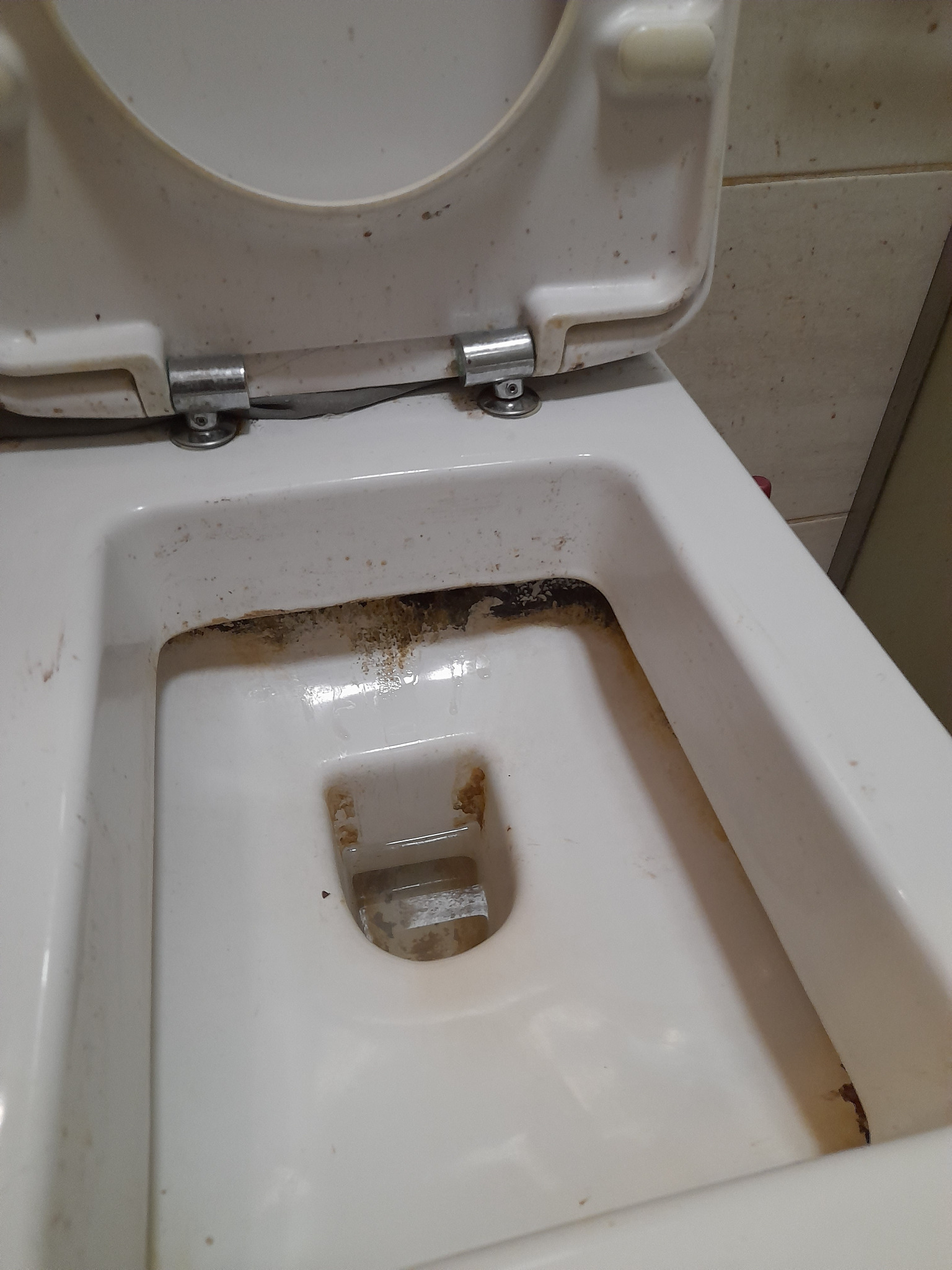 Zaniedbana toaleta z otwartą klapą, widoczne silne zabrudzenia i osady wewnątrz muszli, na białej ceramice i zawiasach. Niezachęcający widok.