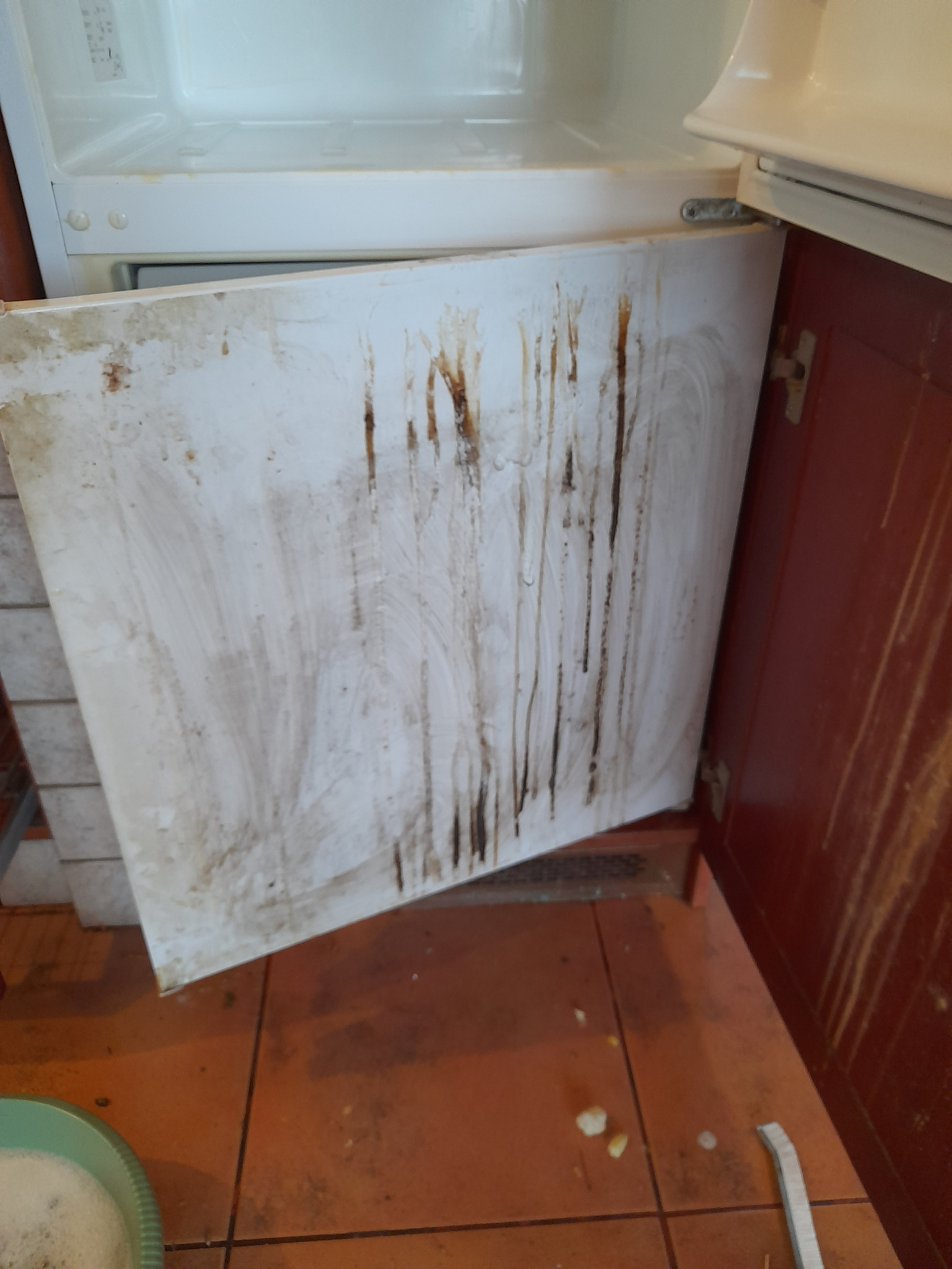 Brudna, otwarta półka w lodówce z zaschniętymi plamami, widoczna z bliska. Na podłodze płytki i miska z pianą. Zaniedbany sprzęt AGD.