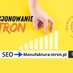 Pozycjonowanie stron Bielsko-Biała 4