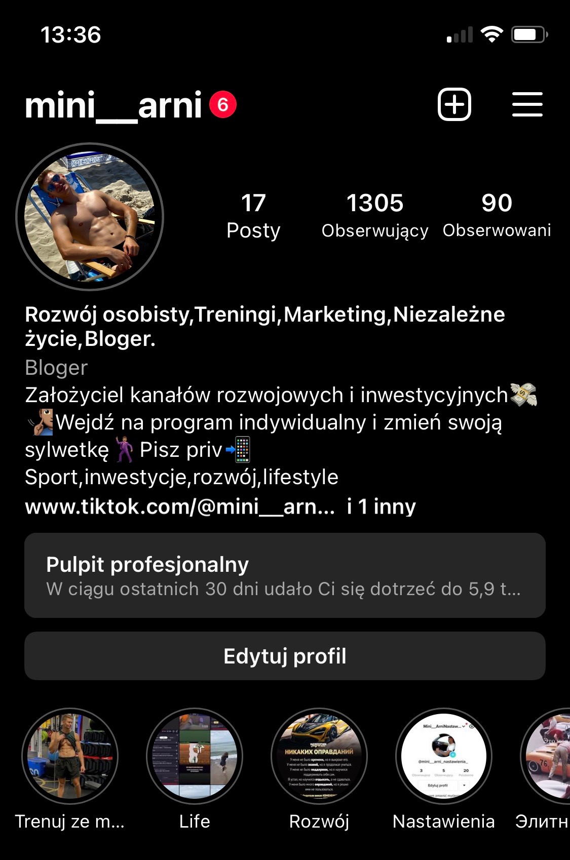 Profil użytkownika mini_arni na TikToku: zdjęcie opalającego się mężczyzny na plaży, statystyki konta, opis profilu oferującego rozwój osobisty, treningi i marketing, link do TikToka oraz ikony...