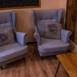 Dwa fotele klubowe w odcieniach szarości z futrzanymi poduszkami w gabinecie, obok stolik z pudełkiem chusteczek.