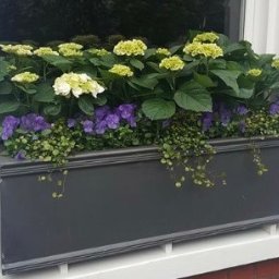 Dekoracje świąteczne Bielsko-Biała 1