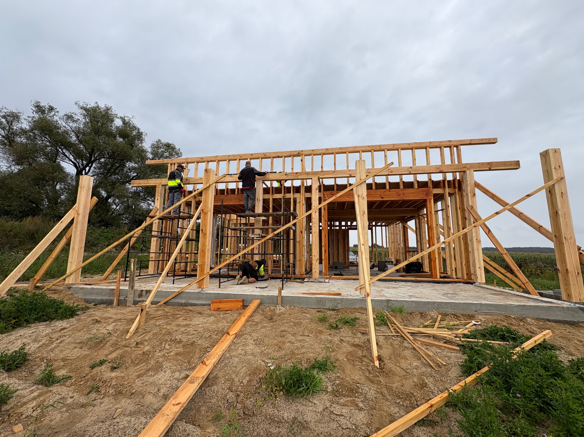 Wznoszenie drewnianej konstrukcji domu szkieletowego. Pracownicy montują elementy na rusztowaniu, widoczne drewniane bale i słupy. W tle zieleń i pochmurne niebo.
