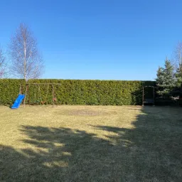 Cięcie żywopłotów