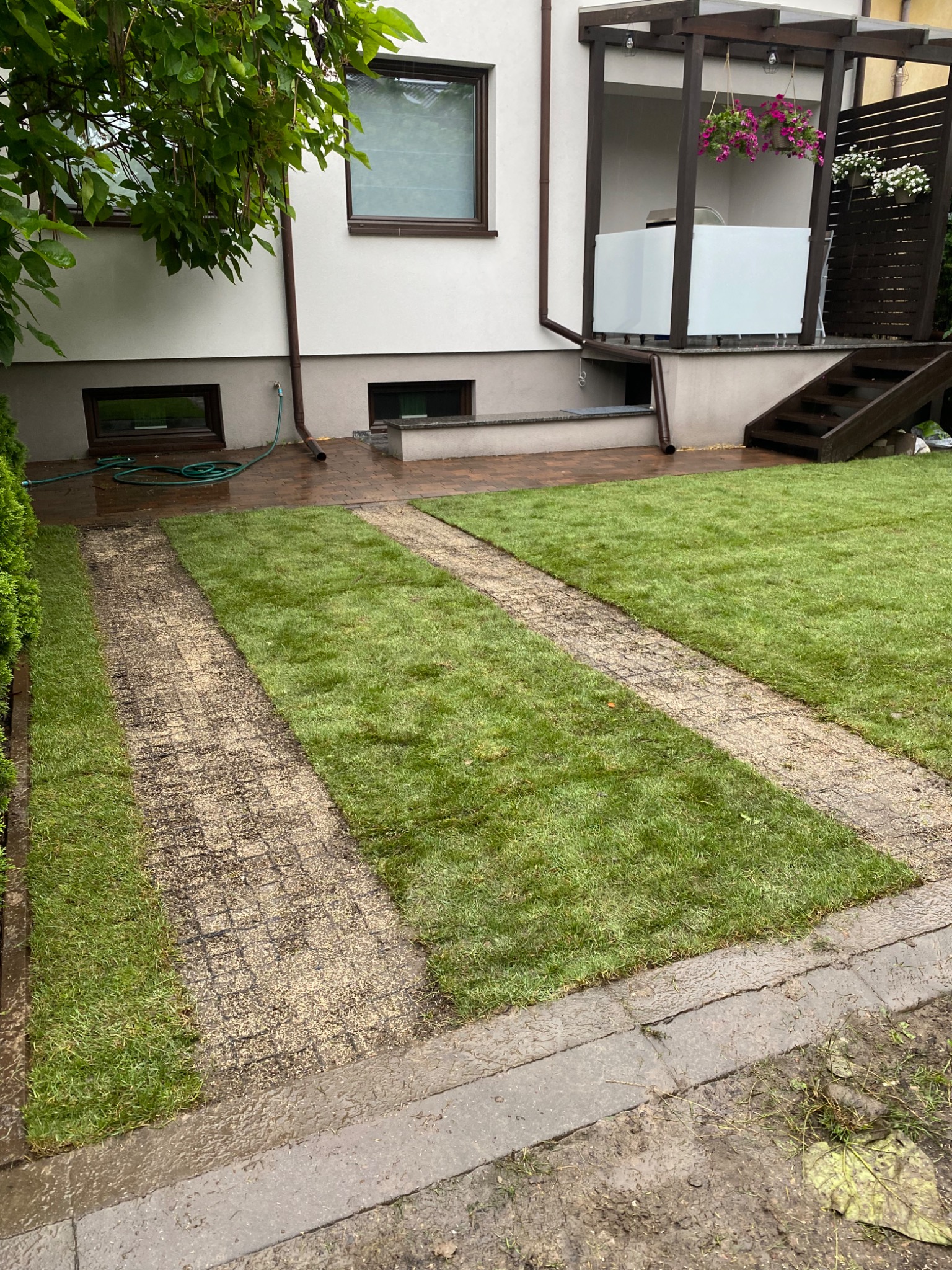 Wjazd z geokratek i trawa z rolki