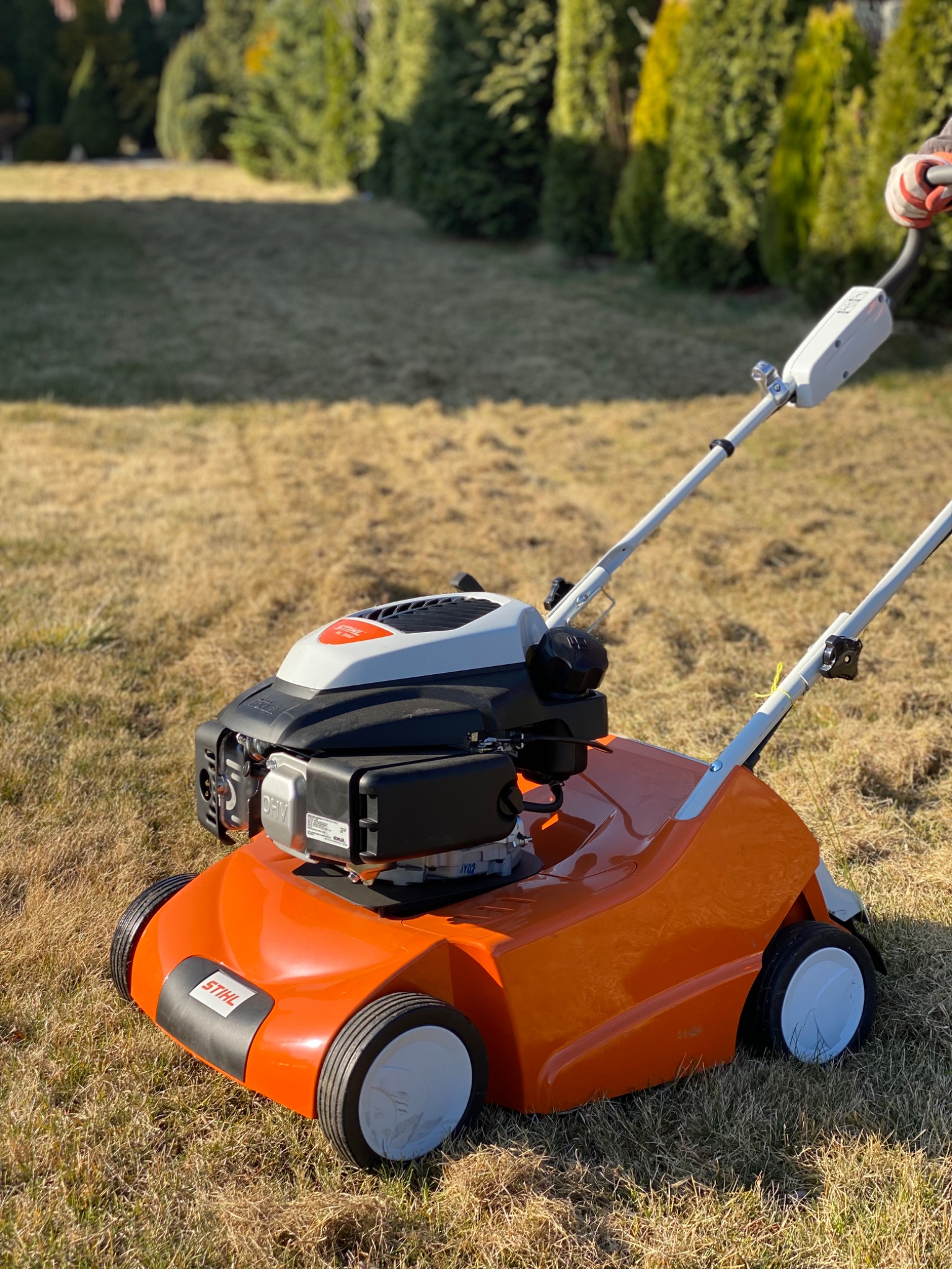 Wertykulacja trawników