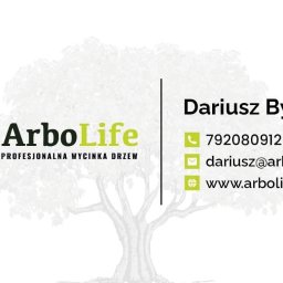 ArboLife Dariusz Byczek - Doskonałej Jakości Wycinka Drzew Mielec