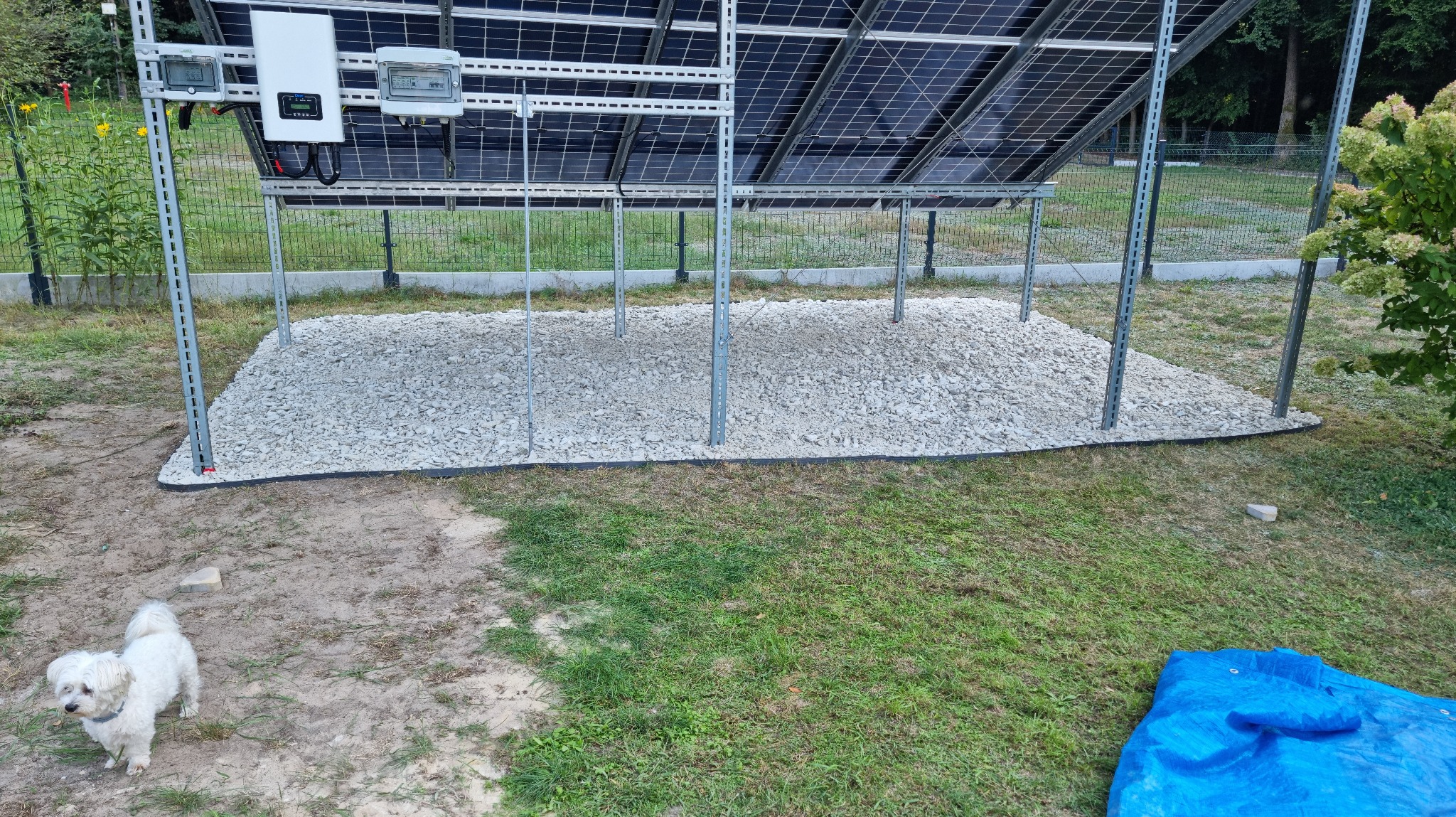 Instalacja paneli słonecznych na metalowej konstrukcji, podsypana białym kamieniem, z widocznym inwerterem i małym białym psem w ogrodzie.