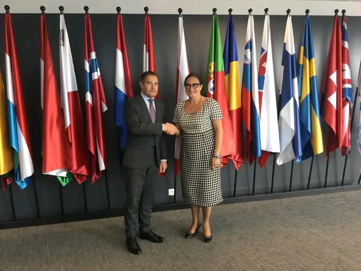 Uścisk dłoni pomiędzy mężczyzną w garniturze a kobietą w sukience na tle flag państwowych, symbolizujący zawarcie umowy lub partnerstwo.