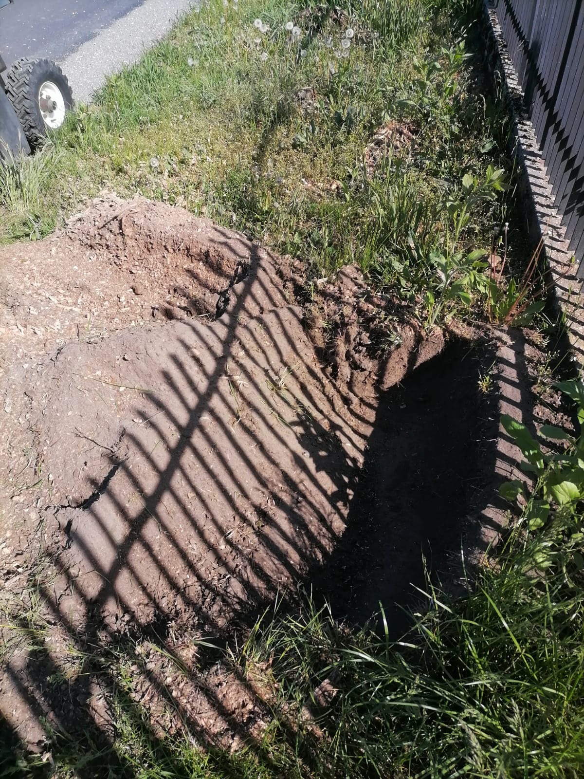 Wykopana dziura w ziemi obok trawy i ogrodzenia, oświetlona słońcem rzucającym cienie sztachet na ziemię.