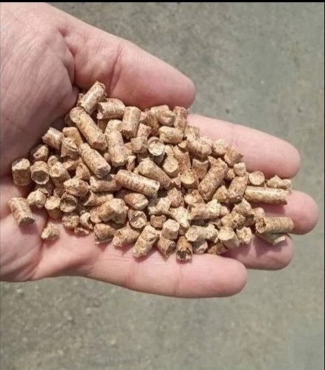 Próbka peletu drewnianego od naszego najlepszego dostawcy z Pod Zamościa