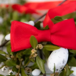 Witaj! Cieszę się, że tu jesteś. Zapraszam do kontaktu.