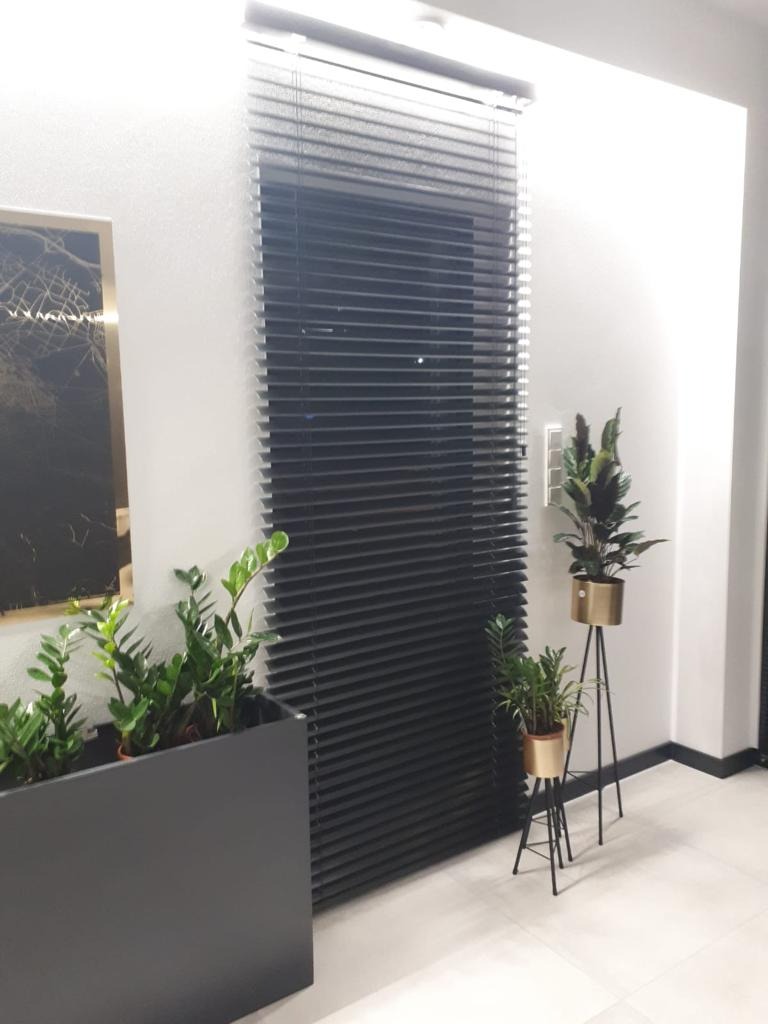 Czarne poziome żaluzje okienne w nowoczesnym wnętrzu, z doniczkowymi roślinami po bokach i minimalistycznym wystrojem.