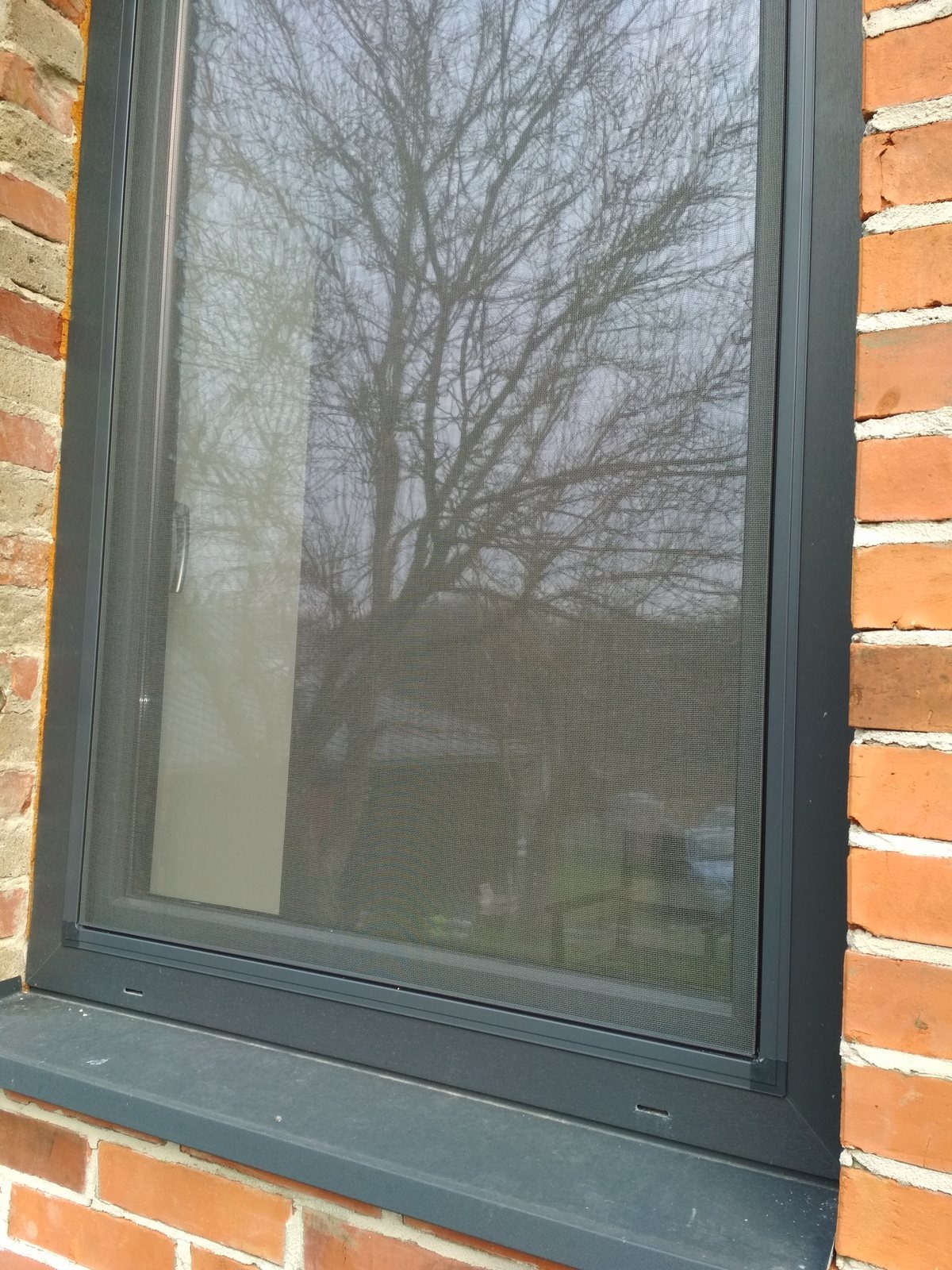 Zamknięte okno z szarą ramą, z zamontowaną moskitierą, widok na drzewo bez liści za oknem, mur z czerwonej cegły po bokach okna.