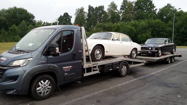 Szara laweta z logo Transcar przewozi dwa klasyczne samochody Jaguar XJ w kolorach białym i granatowym na tle zieleni drzew.