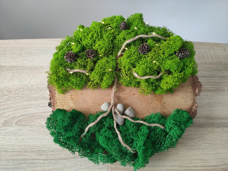 Dekoracja ścienna przedstawiająca drzewo z mchu stabilizowanego, szyszek i kamieni, umieszczona na plastrze drewna i owinięta sznurkiem jutowym, podświetlona delikatnymi lampkami led.