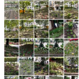 Kolaż zdjęć przedstawiających różnorodne aranżacje terenów zielonych: rabaty kwiatowe z systemem nawadniania, klomby z tulipanami, kompozycje z krzewów ozdobnych i drzew, zieleń miejska w otoczeniu...