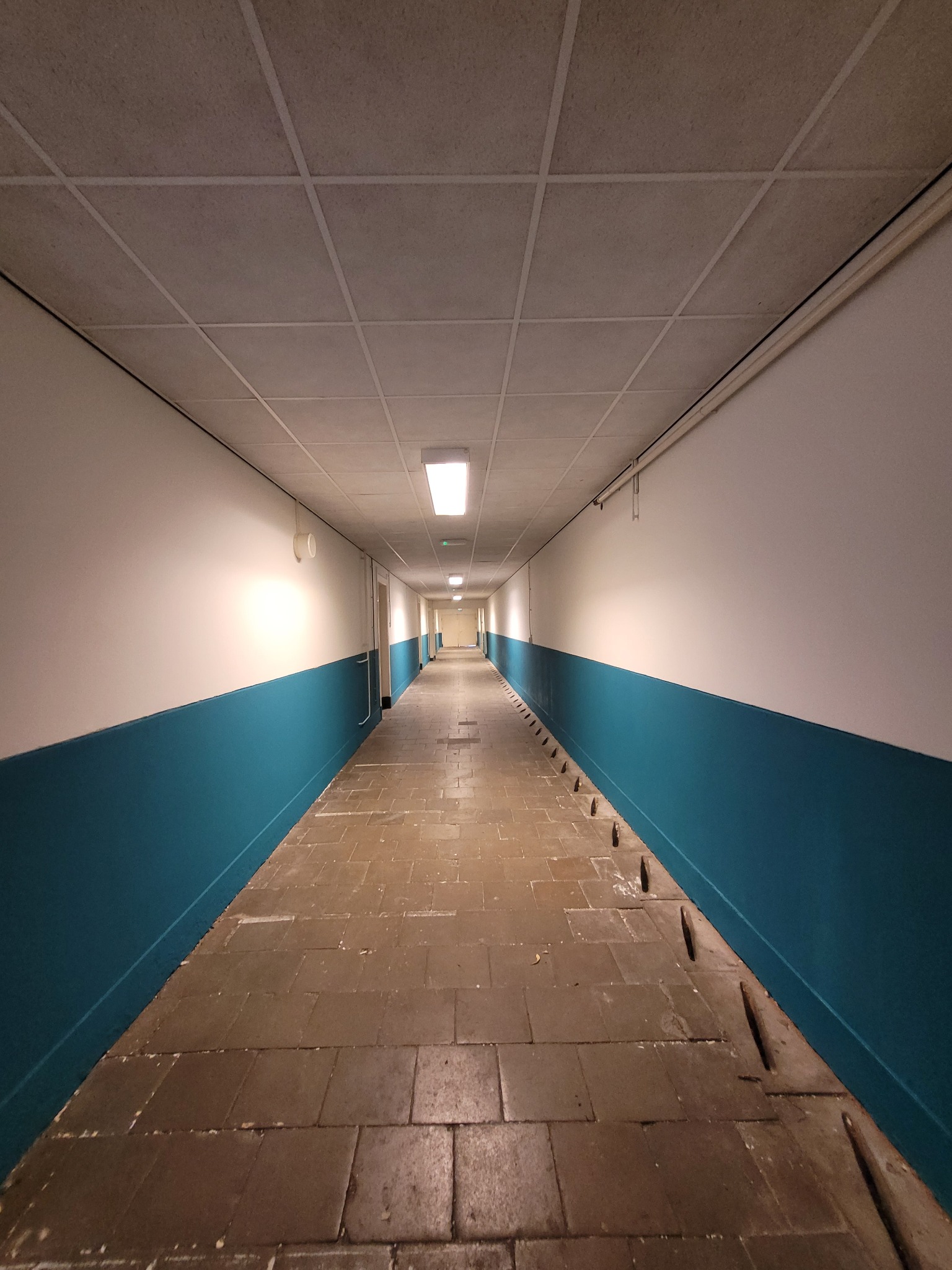 Długi korytarz z białymi ścianami i niebieskim pasem na dole, oświetlony lampami sufitowymi. Podłoga wyłożona brązowymi płytkami. Perspektywa zbieżna.