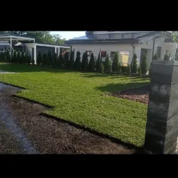 Świeżo ułożona trawa w rolkach na posesji z nowoczesnym domem, widoczne ciemne słupki ogrodzeniowe i rząd małych iglaków wzdłuż ogrodzenia.