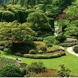 Rozległy ogród z krętą ścieżką, bogatą roślinnością, klombami kwiatowymi i drzewami, widziany z góry.