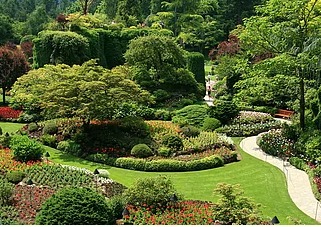 Rozległy ogród z krętą ścieżką, bogatą roślinnością, klombami kwiatowymi i drzewami, widziany z góry.