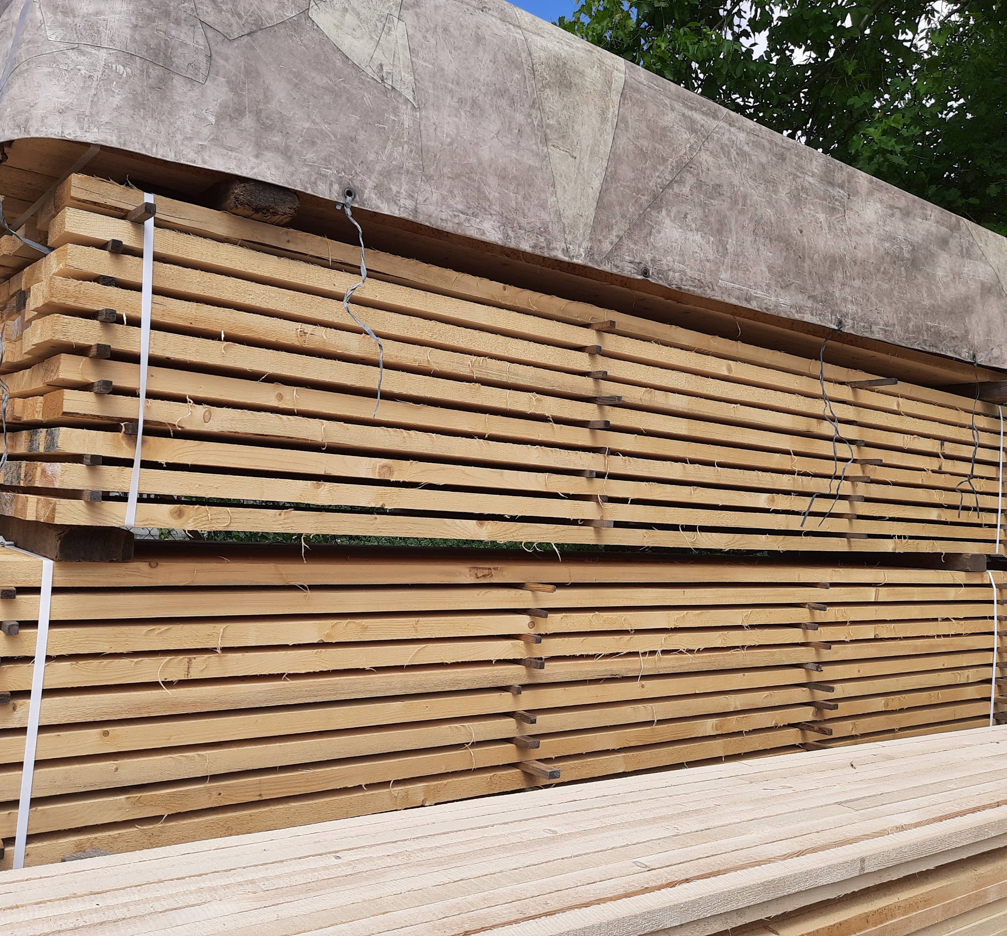 Stosy świeżo przetartego drewna budowlanego, zabezpieczone szarą plandeką, widoczne fragmenty drzew na tle.