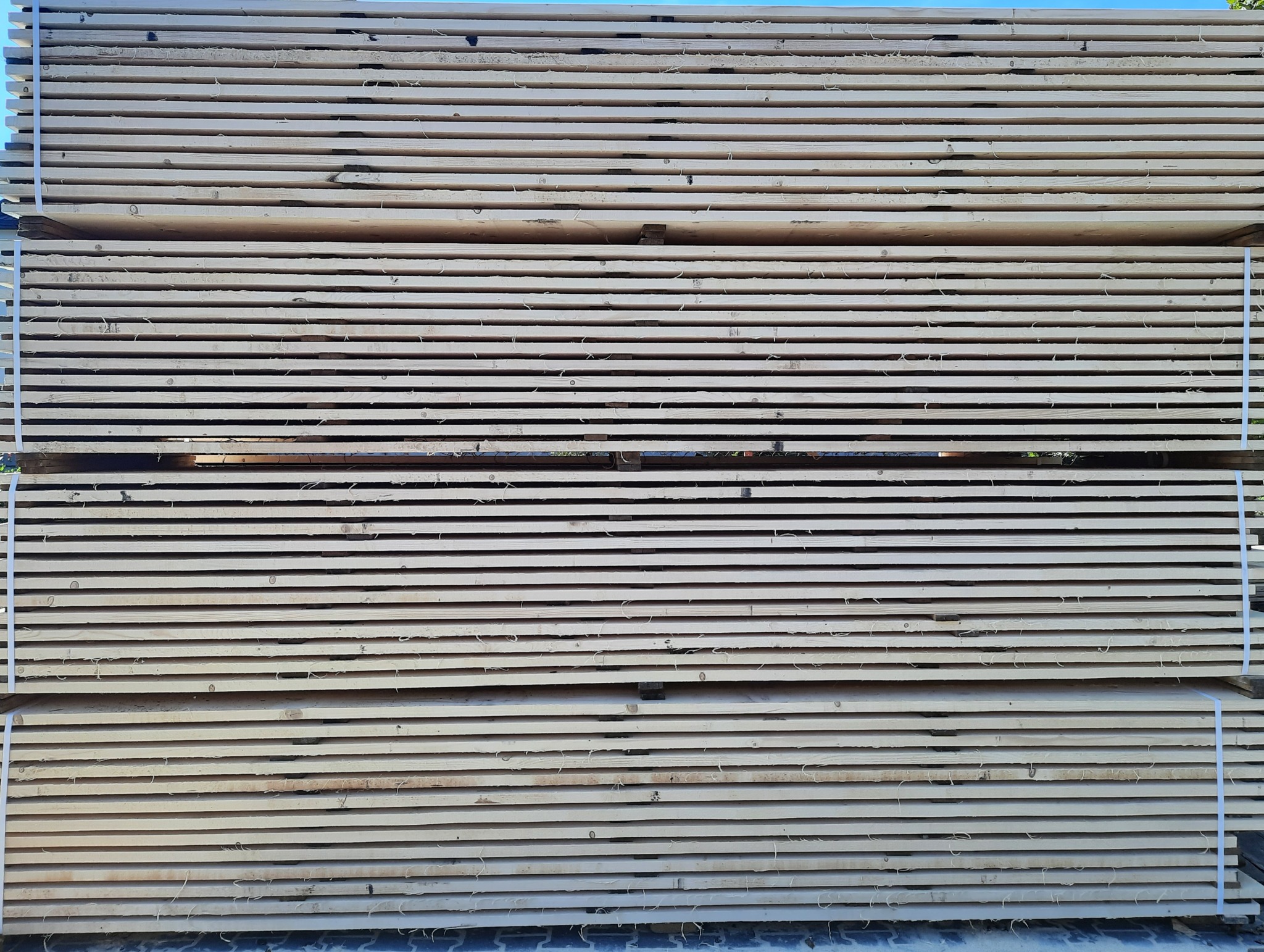 Stos jasnych, świeżo przetartych desek ułożonych poziomo i spiętych białymi taśmami, widoczne sęki i drobne drzazgi na powierzchni drewna.